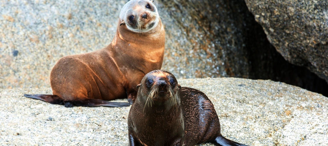 Thumbnail for gallery