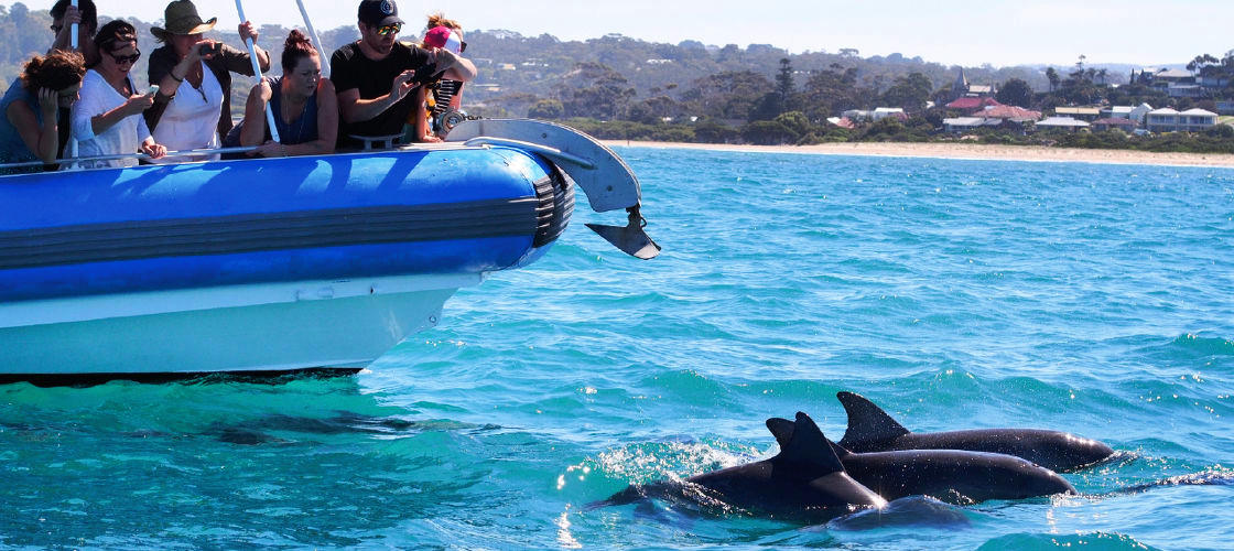 Thumbnail for gallery