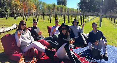 Brisbane to Gold Coast Winery Tours