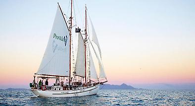 Pioneer Bay Sunset Sailing