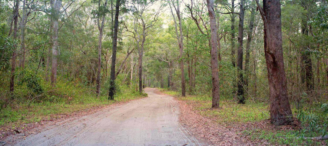 Bribie Island 4WD tour from Brisbane