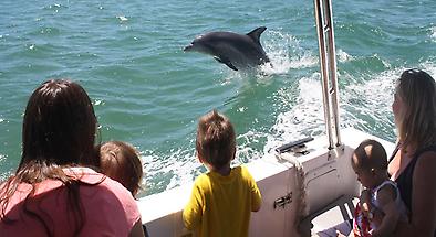 Mandurah Dolphin, Scenic and Lunch Cruises