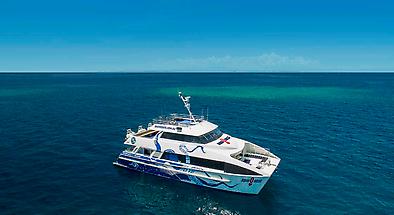 Port Douglas Great Barrier Reef Cruise to 2 Reef Locations