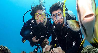 Budget Great Barrier Reef Day Trip