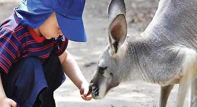 Peel Zoo General Admission