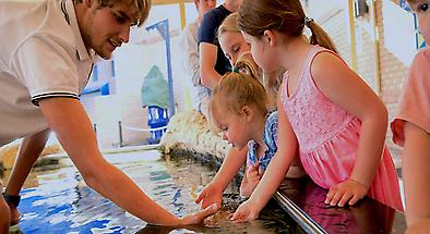 The Aquarium of Western Australia General Admission
