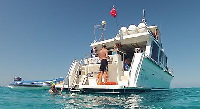 Great Barrier Reef Snorkel and Dive Cruise from Mission Beach