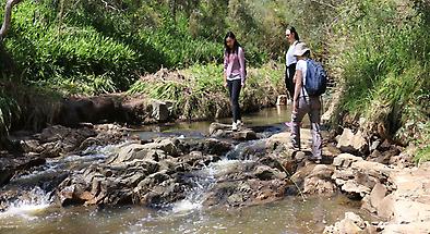 Bushwalk, Wine and Barbecue Eco Tour Departing Adelaide