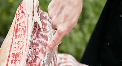 Techniques of Butchery Class