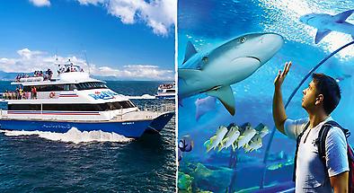 Cairns Reef Cruise to Marine World Pontoon & Cairns Aquarium Entry