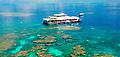 Outer Great Barrier Reef Cruise