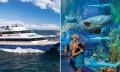 Reef Magic Cruises and Cairns Aquarium Combo Experience