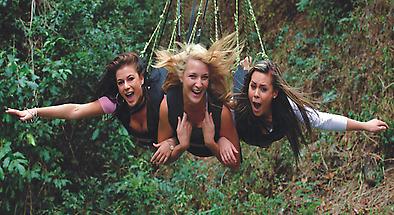 Cairns Giant Jungle Swing