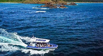 Byron Bay Ocean Safari