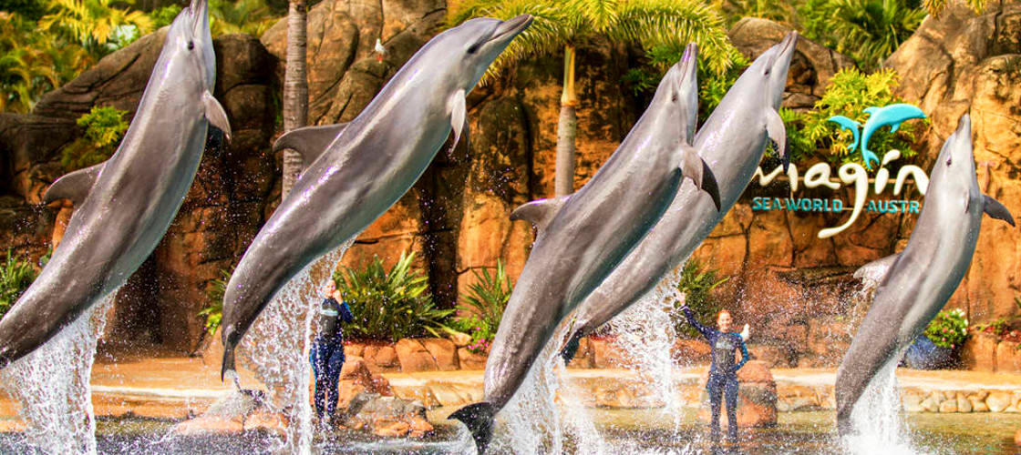 Thumbnail for gallery