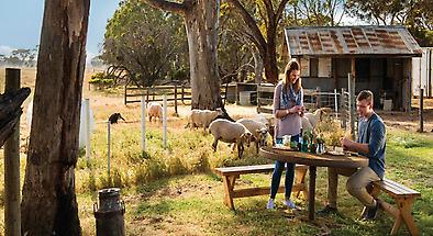 Kangaroo Island Food and Wine Tours From Penneshaw