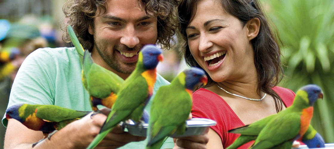 Thumbnail for gallery