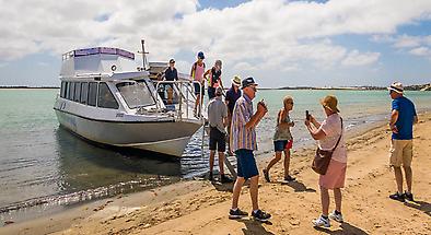 Coorong National Park Cruise and Guided Walk