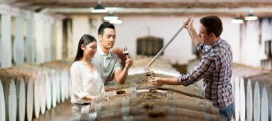 Seppeltsfield Estate Wine Tours In The Barossa Valley