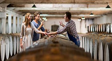 Seppeltsfield Estate Wine Tours In The Barossa Valley