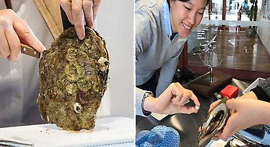 Pearl Discovery Experiences Perth