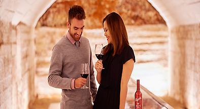 Twilight Tour with Luxury Degustation Dinner at Penfolds Magill Estate