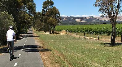 McLaren Vale Winery Cycling Day Tour