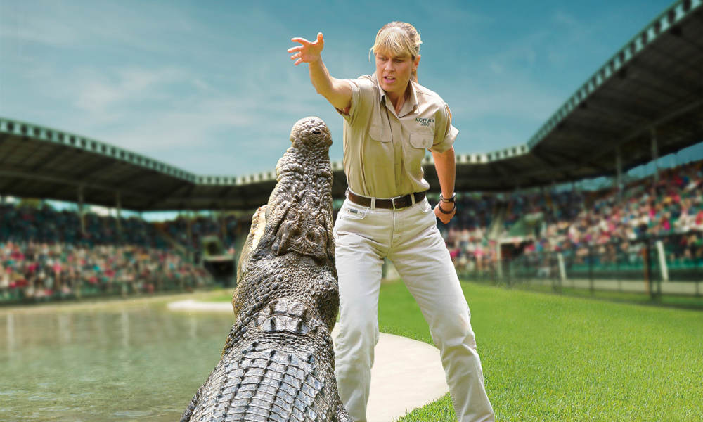 Croc Express to Australia Zoo from Gold Coast
