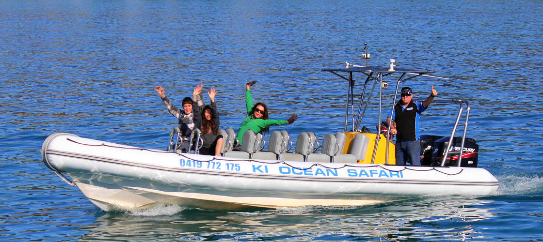 Kangaroo Island Dolphin Safari Cruise