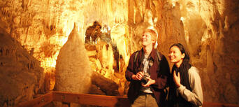 Waitomo Glowworm Caves and Aranui Cave Thumbnail 1