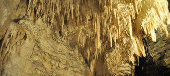 Waitomo Glowworm Caves and Aranui Cave Thumbnail 2