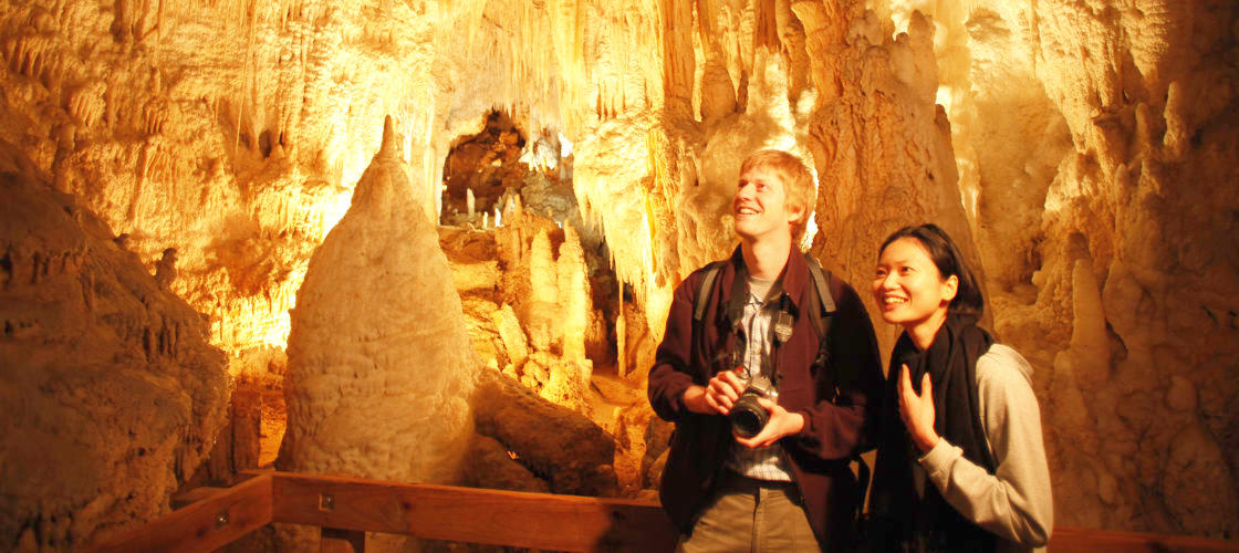 Waikato Triple Cave Combo Book Online  Experience Oz + NZ