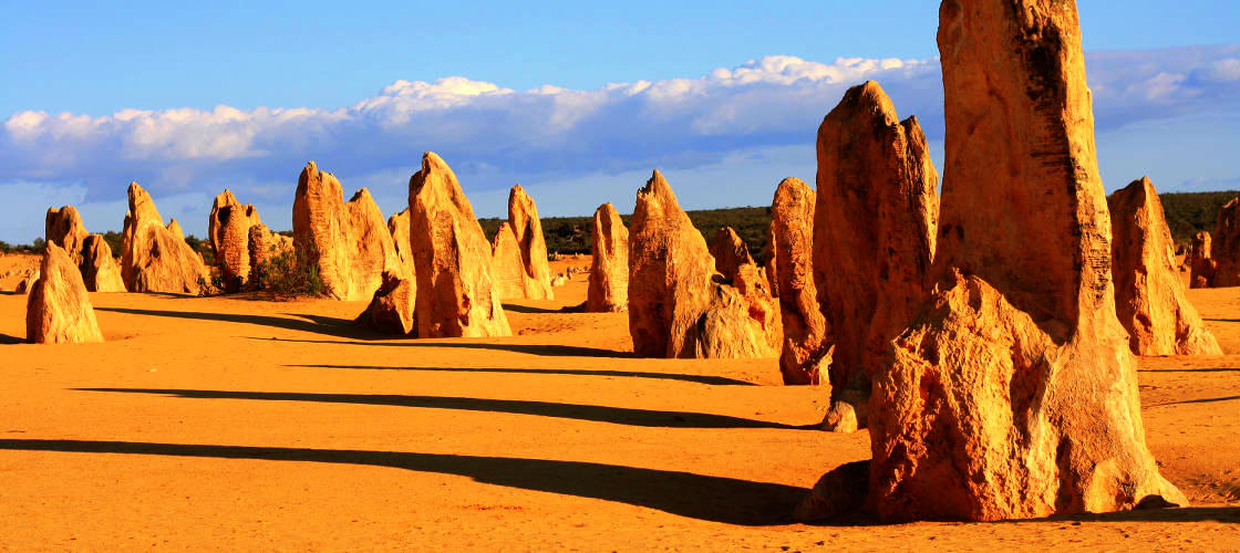 pinnacles perth tour