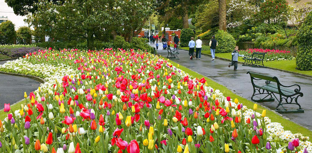 Free Things To Do  Wellington Botanic Gardens
