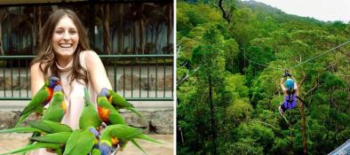Currumbin Wildlife Sanctuary and TreeTop Challenge Package