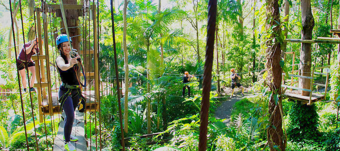 TreeTop Challenge & Currumbin Sanctuary Ticket Combo