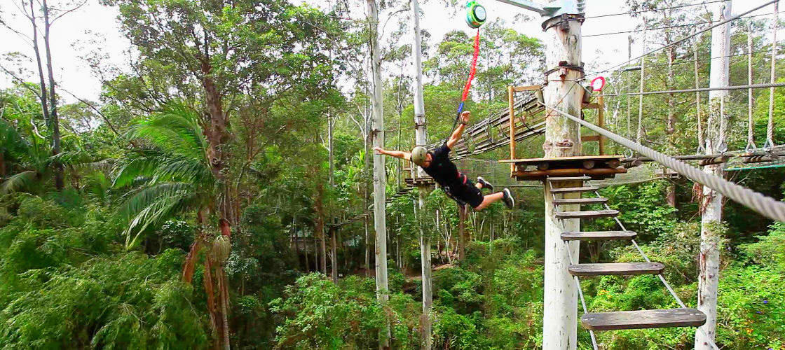 Currumbin Wildlife Sanctuary Experience Pass Experience Oz