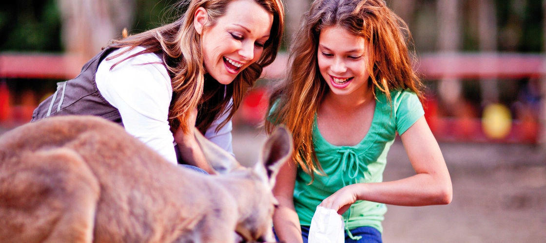 TreeTop Challenge & Currumbin Sanctuary Ticket Combo