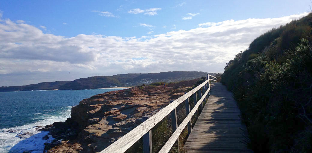 Bouddi Coastal Walk Free Things Central Coast Experience Oz