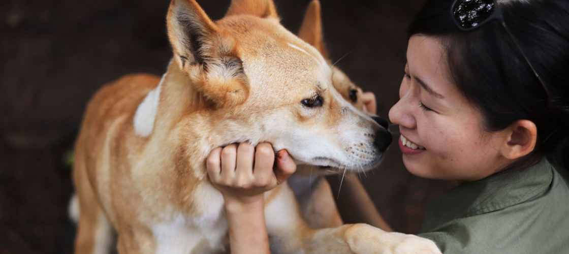 Rainforestation Nature Park Package