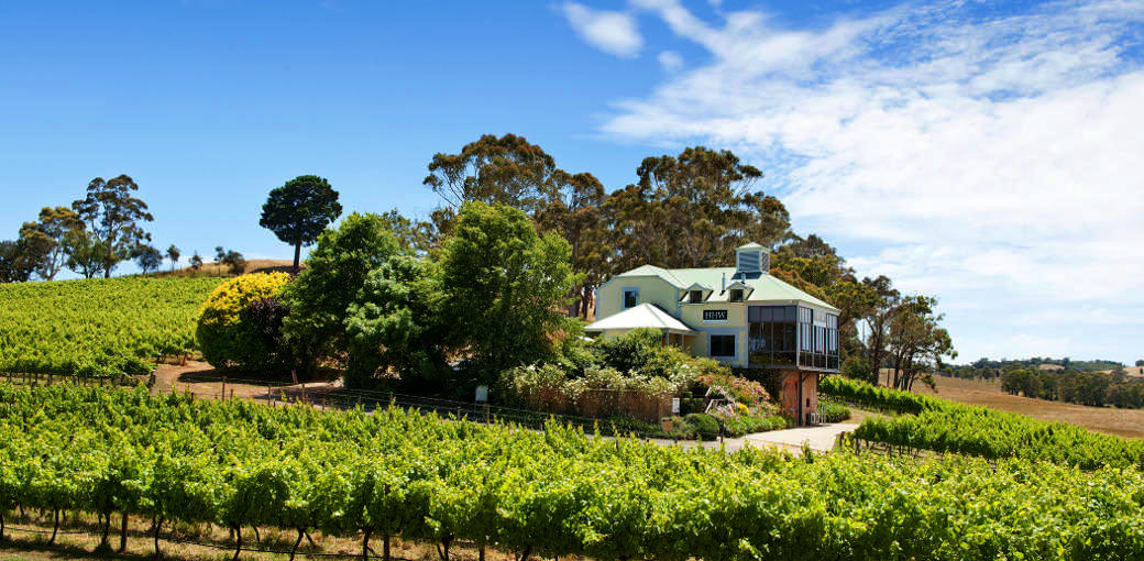 Free Things To Do  Hahndorf Hill Winery