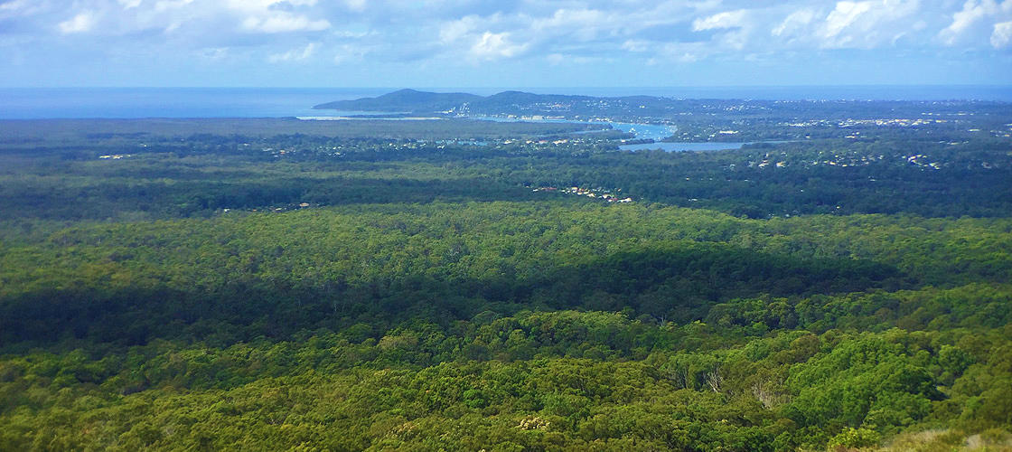 Tewantin National Park Free things to do Noosa Experience Oz
