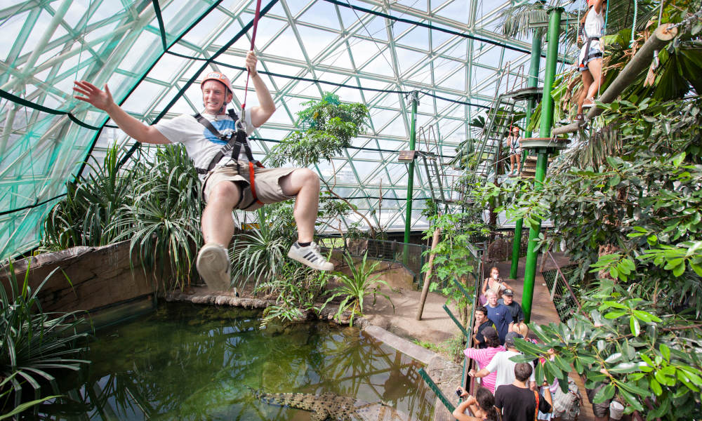 Cairns ZOOM Packages - Wildlife Dome Entry