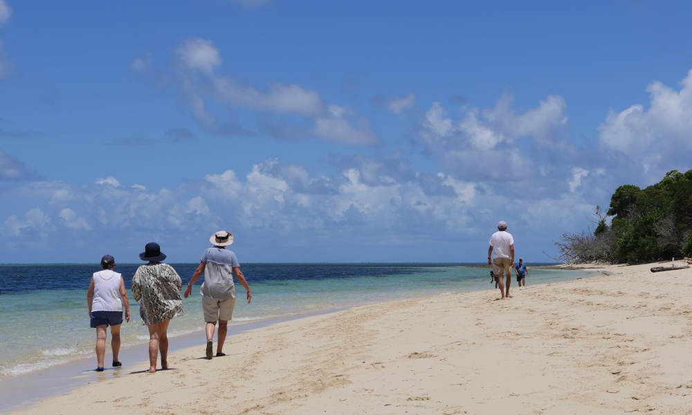 Green Island Sailing Cruise