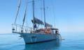 Green Island &amp; Great Barrier Reef  Sail and Snorkel Cruise Thumbnail 5