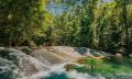 Atherton Tablelands and Waterfalls Guided Tour Thumbnail 4