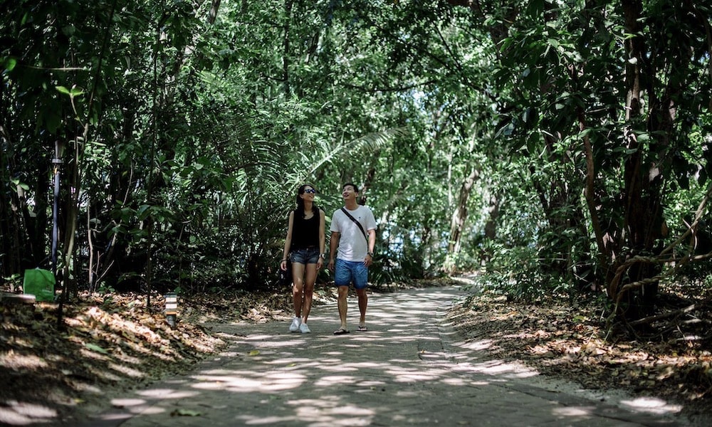 Green Island Full Day Trip + Snorkelling OR Glass Bottom Boat