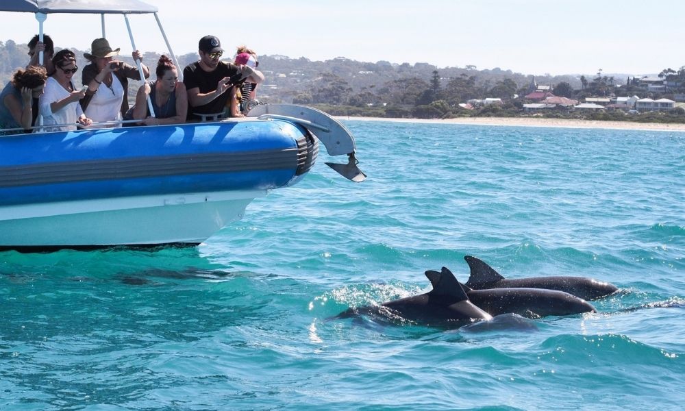 Victor Harbor Southern Ocean Adventure Cruise