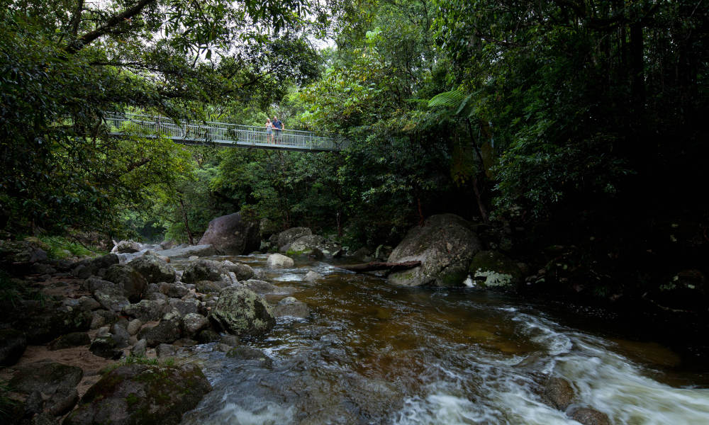 Cape Tribulation Budget Day Tour