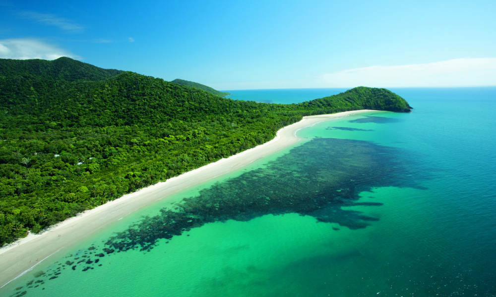 Cape Tribulation Budget Day Tour